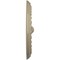 Ekena Millwork Foster Shell Ceiling Medallion (Fits Canopies up to 9 5/8"), 15 3/4"OD x 2"P, Gobi Desert CM15FOGDF - alternate 2